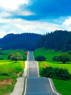 9-Day 8-Night Sichuan-Chongqing Loop Small-Group Shared Tour