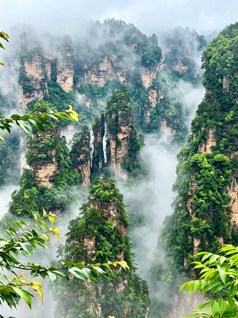 6 days, 5 nights. Hello! Zhangjiajie small group tour.