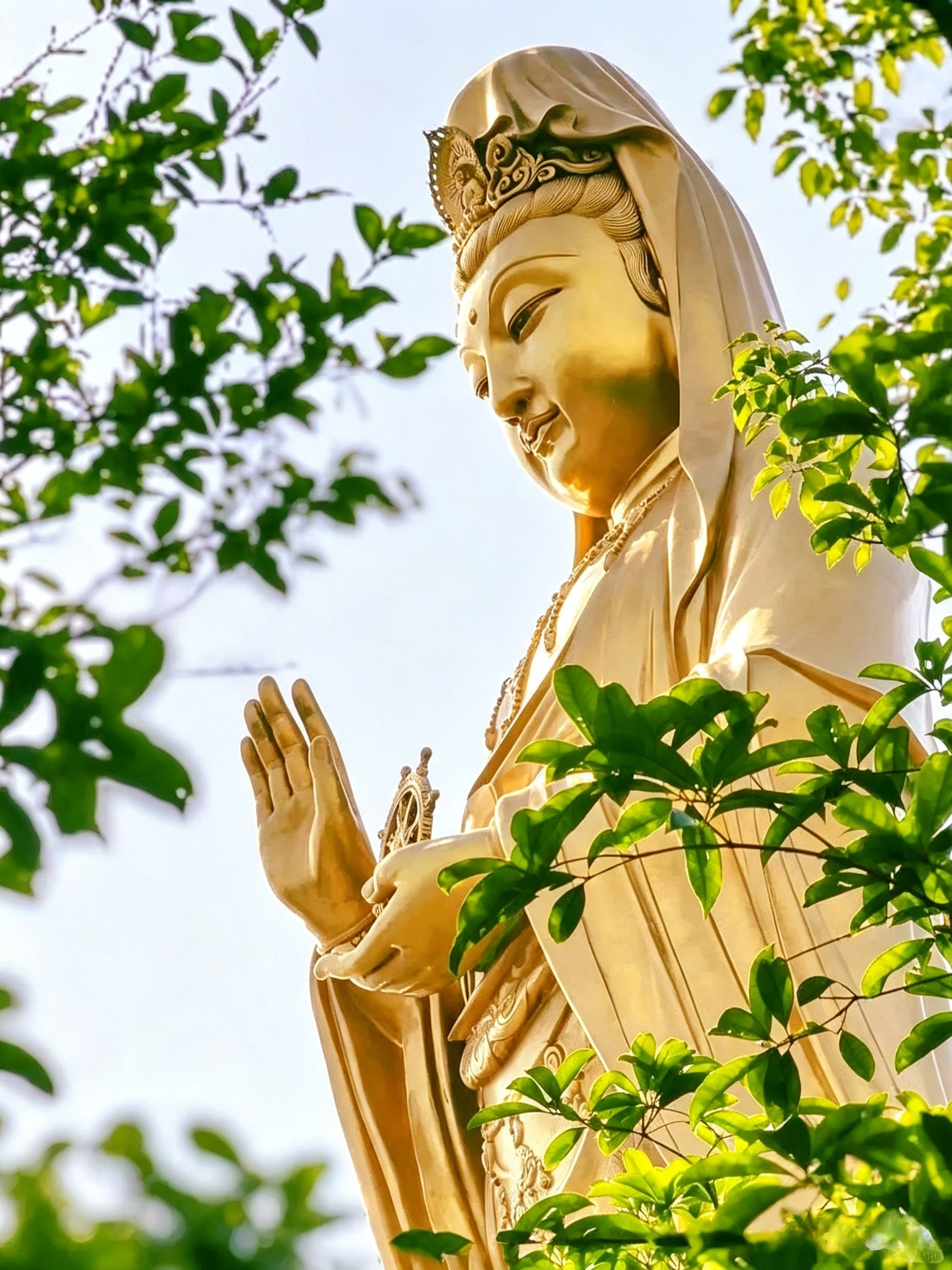 6 Days 5 Nights customized trip to Putuo Mountain - Encountering the Lotus