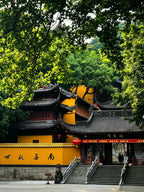 6 Days 5 Nights customized trip to Putuo Mountain - Encountering the Lotus
