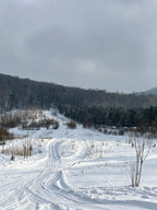 5天4晚趣玩冰雪拼小团
