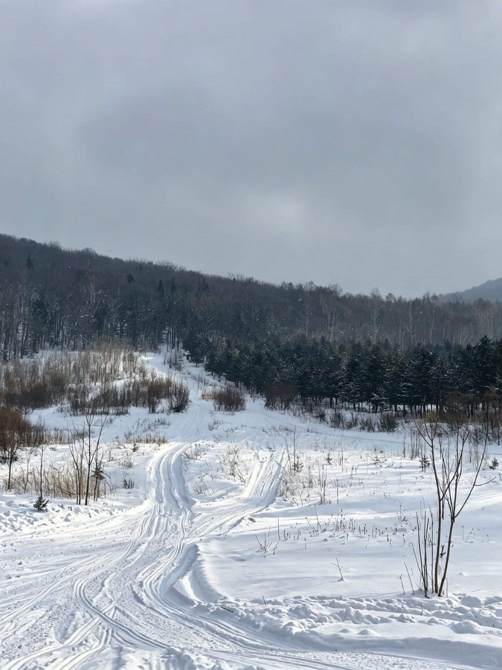 5天4晚趣玩冰雪拼小团