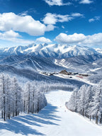 5天4晚趣玩冰雪拼小团