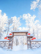 5天4晚趣玩冰雪拼小团