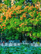 7-Day, 6-Night Yunnan Discovery Group Tour