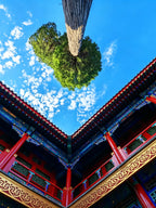 5-Day, 4-Night Beijing Customized Tour