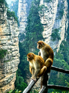 6-Day Premium West Hunan Guided Tour