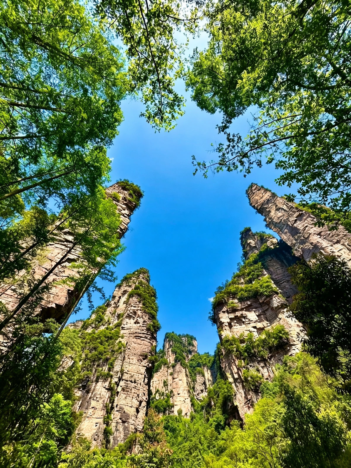 6-Day Premium West Hunan Guided Tour