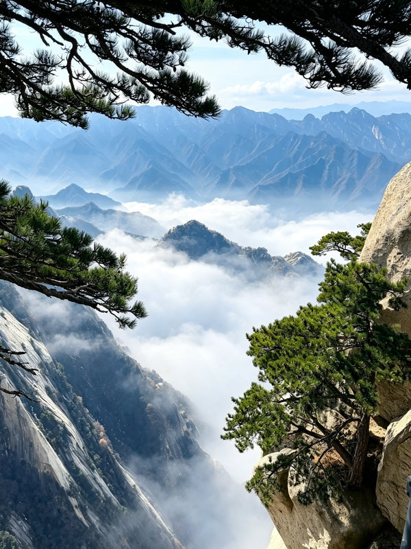 6-Day Shining Shaanxi Grand Panorama Guided Tour