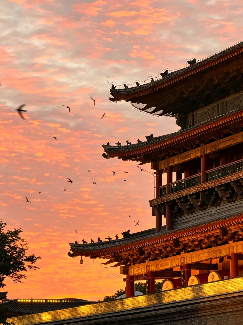 5-Day Landscape of Chang'an Small Group Tour