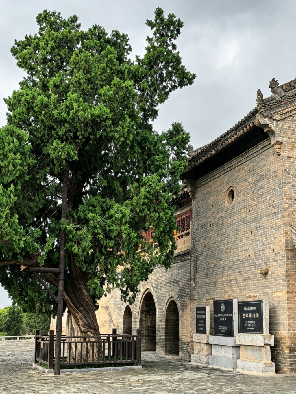 5-Day Imagine Yan'an Guided Tour