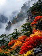 6-day Autumn Foliage Guangwushan Small Group Tour