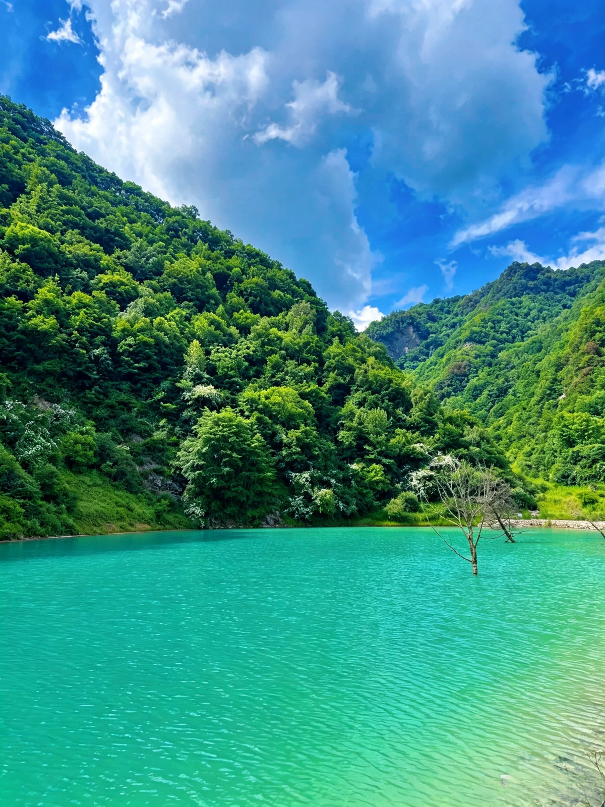 6-day Autumn Foliage Guangwushan Small Group Tour