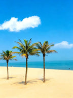 5-Day Xiamen "Tides of Egret Island" Small Group Tour