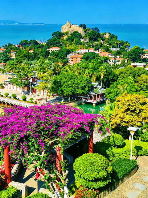 5-Day Xiamen "Tides of Egret Island" Small Group Tour