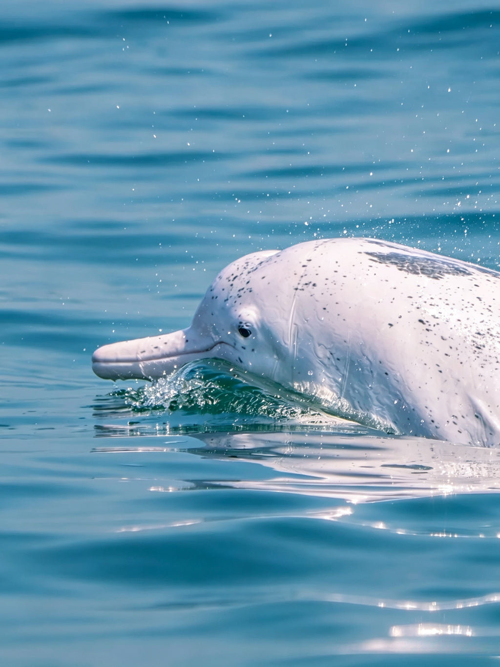 5-Day Mountains and Seas Adventure Small Group Tour