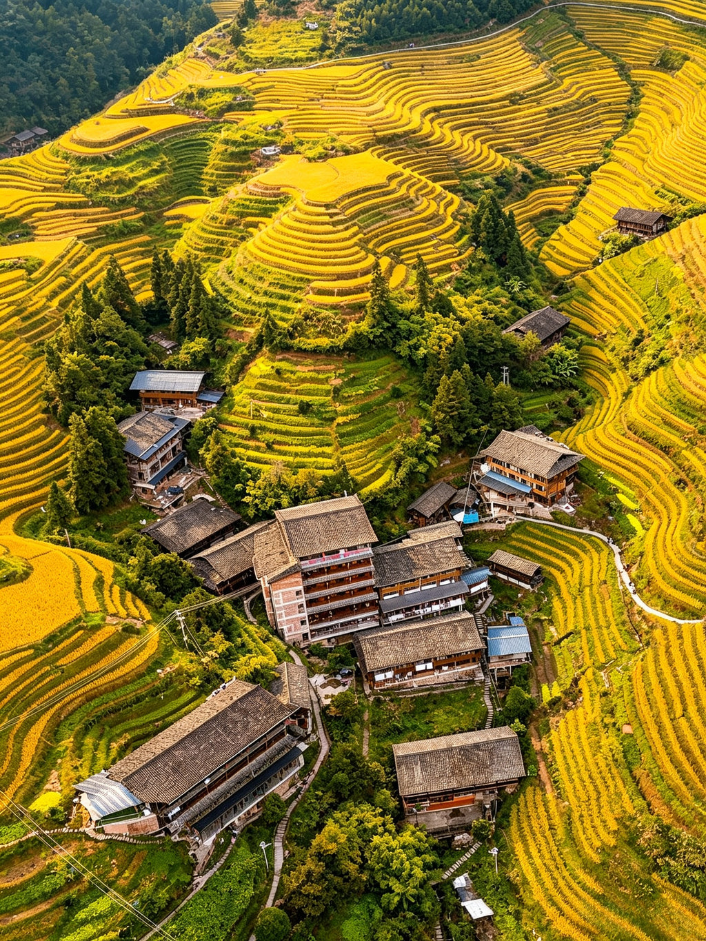 5-Day Longji Terrace Small Group Tour