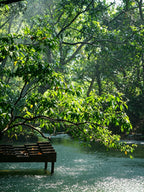 5-day Slow-Paced Exploration Small Group Tour
