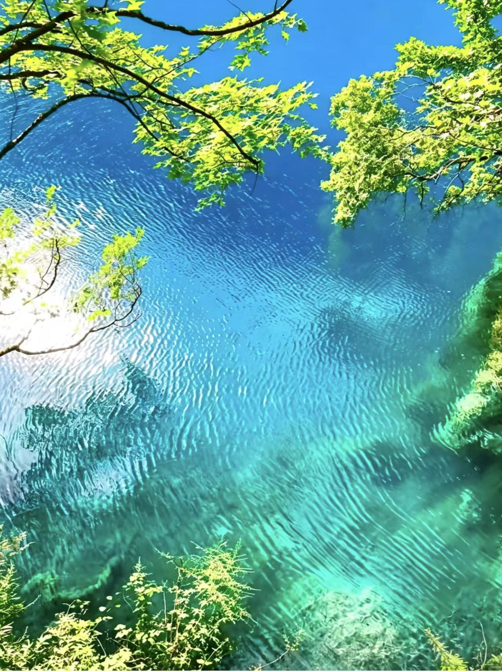 5-Day, 4-Night Sichuan Untouched Wonders Tour - Join-in Small Group