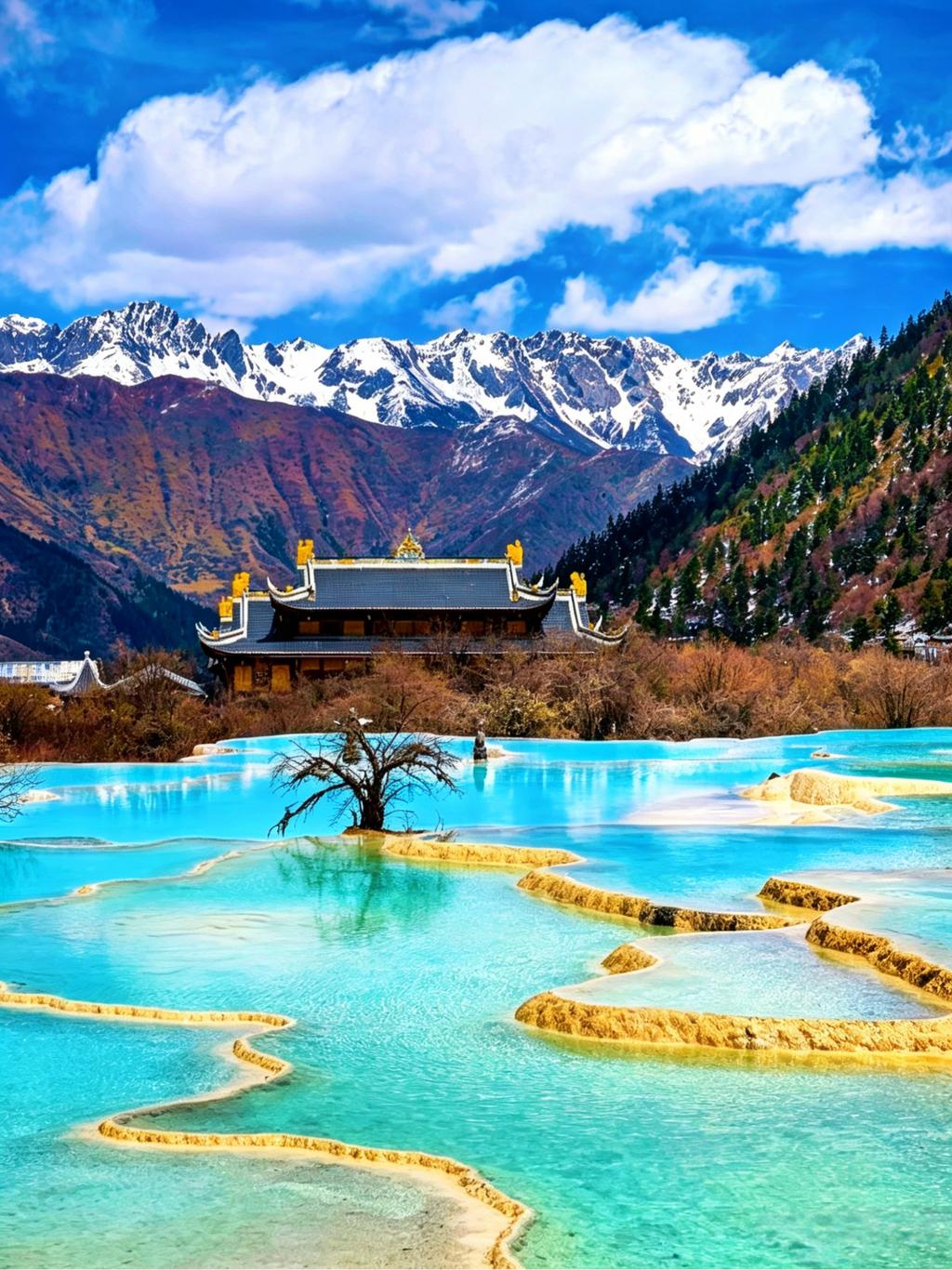 6-Day 5-Night Heartwarming Sichuan Join-in Tour