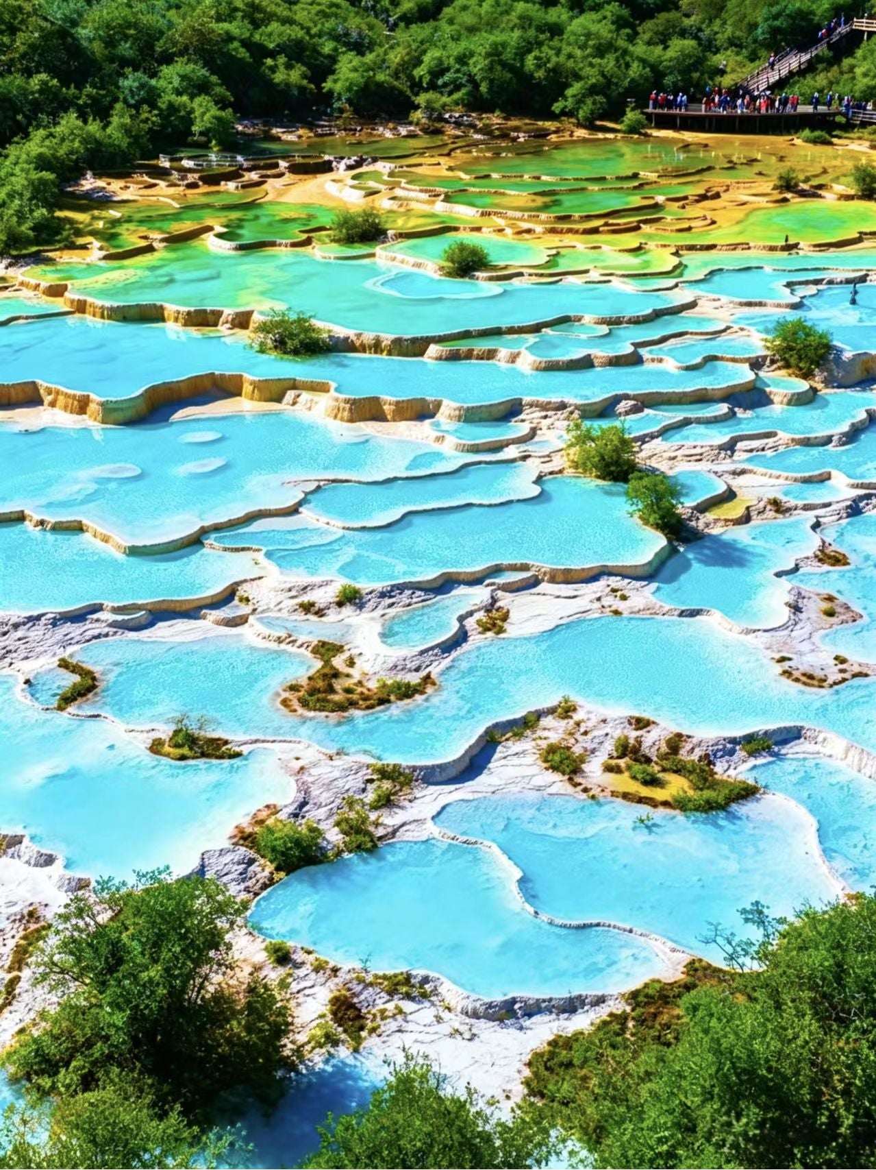 6-Day 5-Night Heartwarming Sichuan Join-in Tour