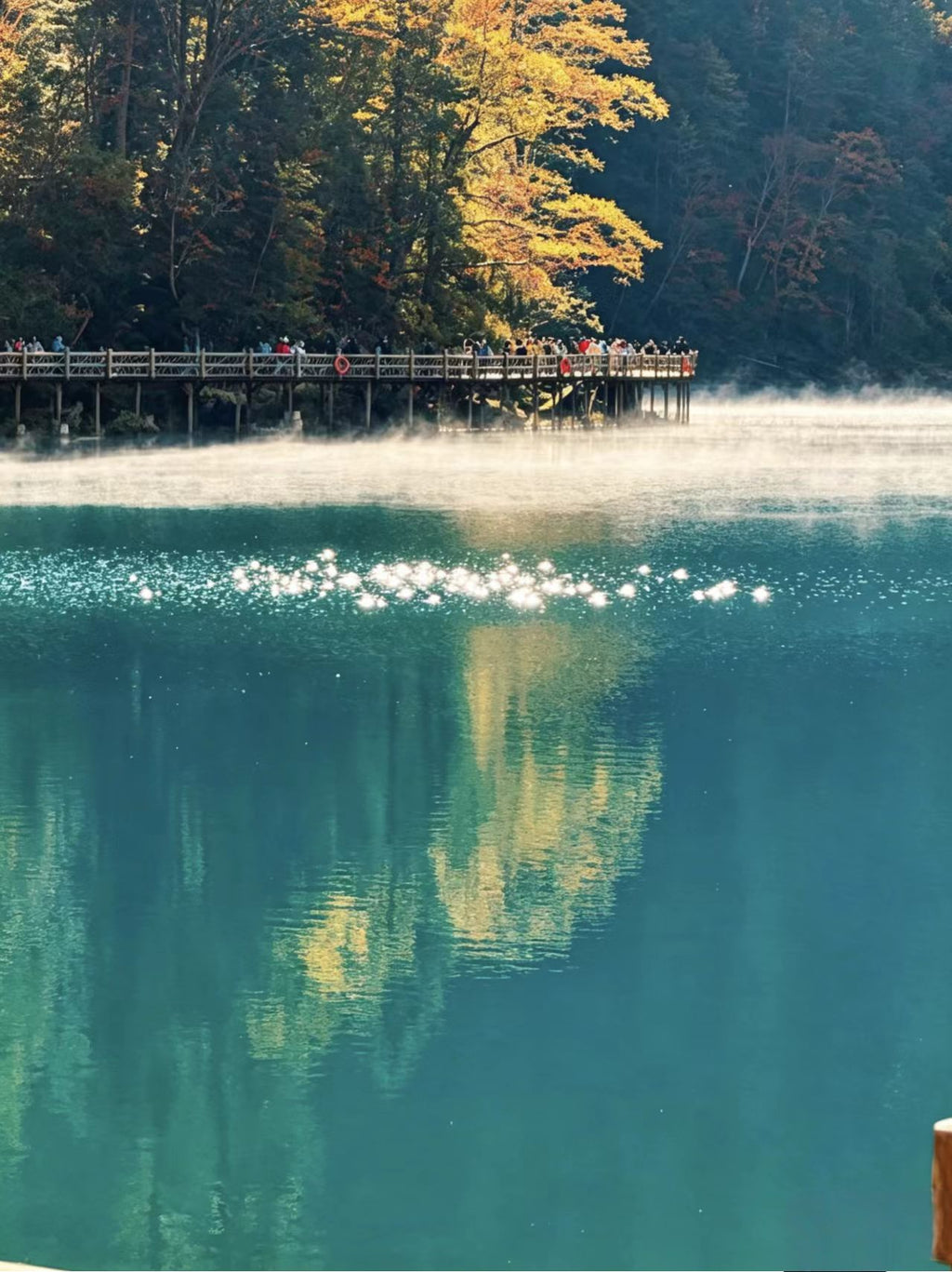 6-Day, 5-Night Sichuan Tour - Join a Small Group