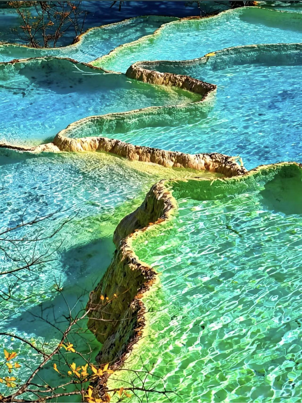 6-Day, 5-Night Sichuan Tour - Join a Small Group