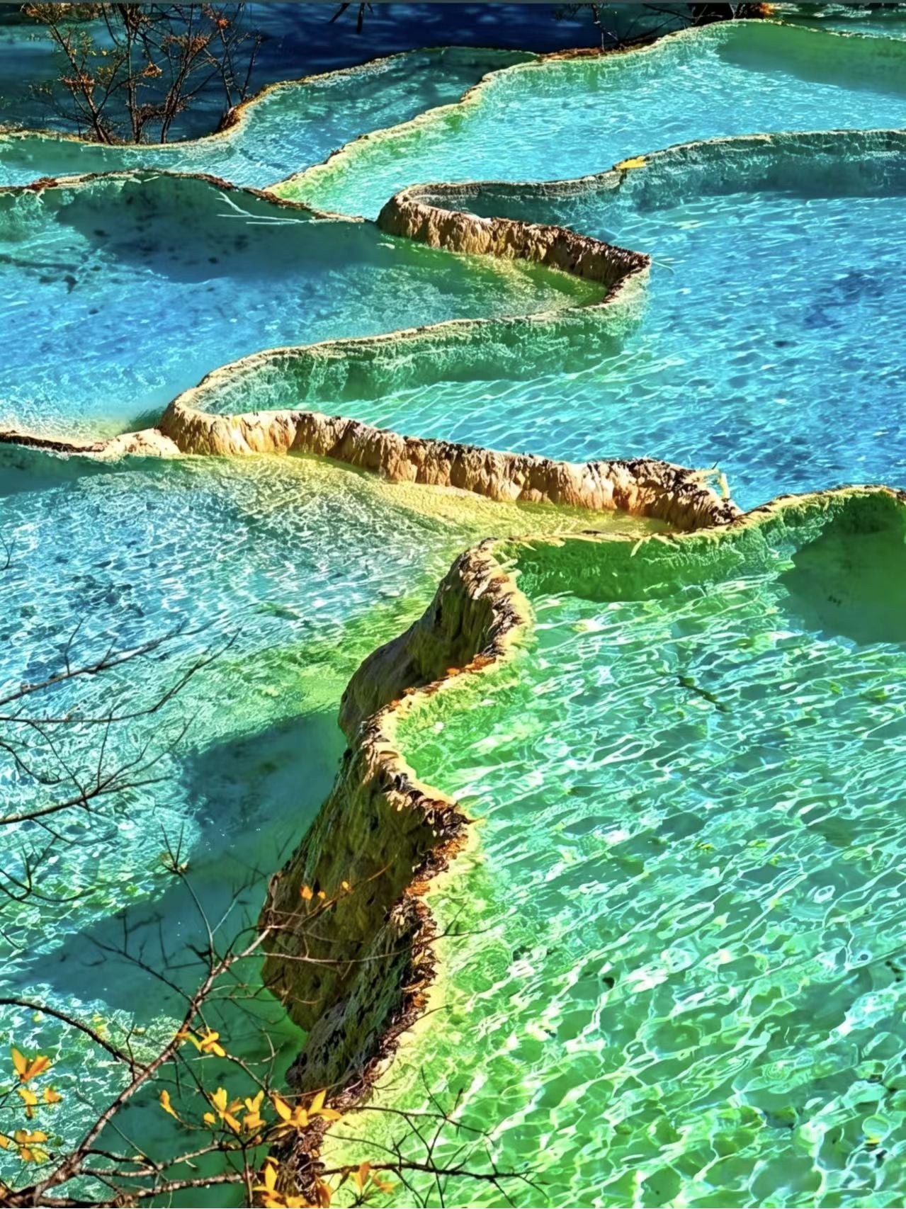 6-Day, 5-Night Sichuan Tour - Join a Small Group
