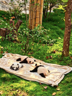 6-Day, 5-Night Sichuan Tour - Join a Small Group