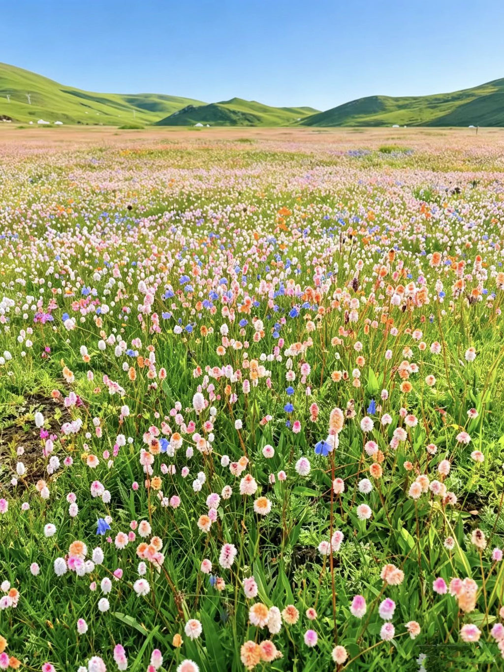 6-Day, 5-Night Genyen Trekking Small Group Tour