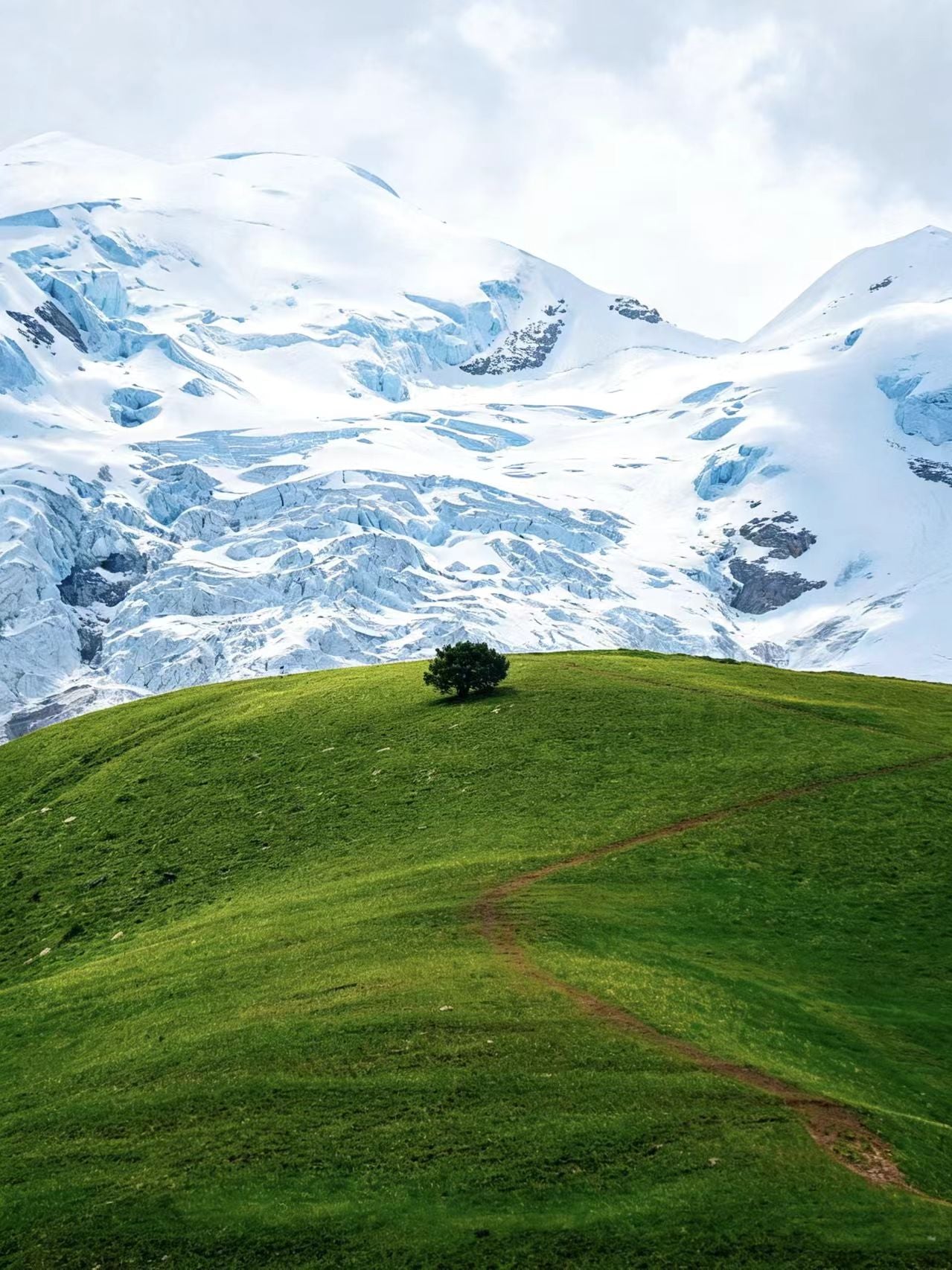 6-Day, 5-Night Genyen Trekking Small Group Tour