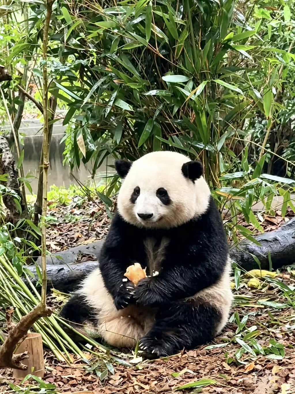 6-Day 5-Night Heartwarming Sichuan Join-in Tour