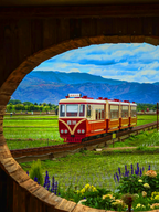 6-Day Hello, Yunnan! Small Group Tour