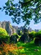 6-Day Hello, Yunnan! Small Group Tour