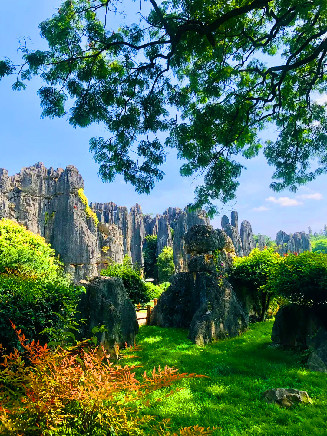 6-Day Hello, Yunnan! Small Group Tour