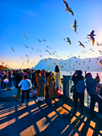 8-Day Yunnan in the Clouds Small Group Tour 
