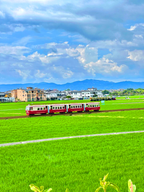 8-Day Yunnan in the Clouds Small Group Tour 