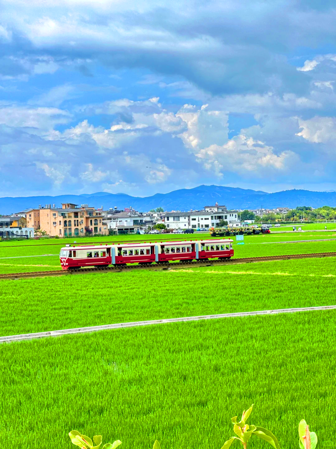 8-Day Yunnan in the Clouds Small Group Tour 