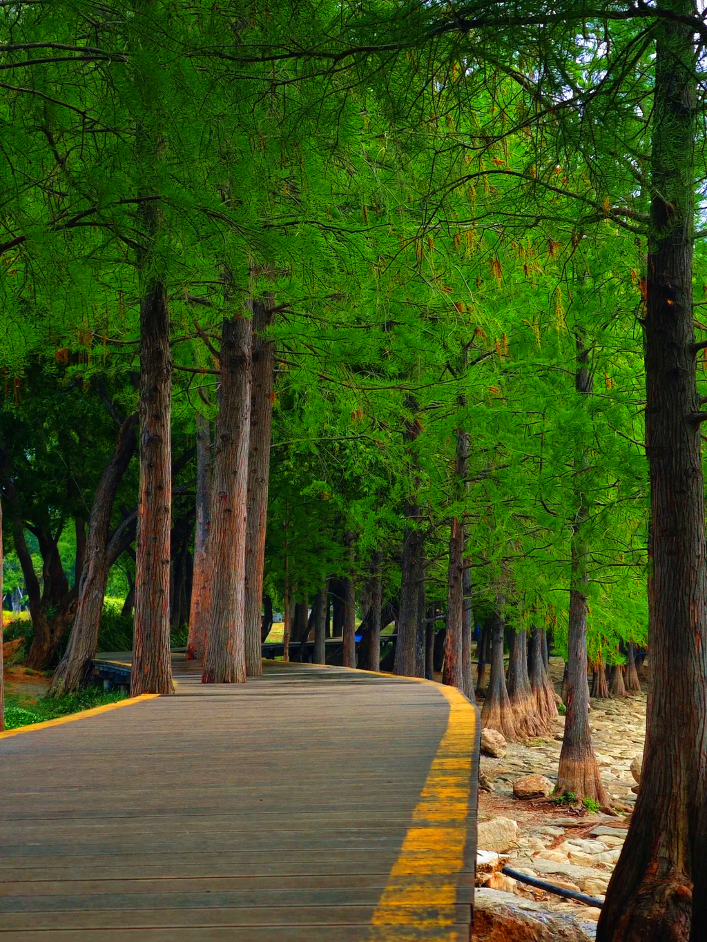 8-Day Yunnan in the Clouds Small Group Tour 