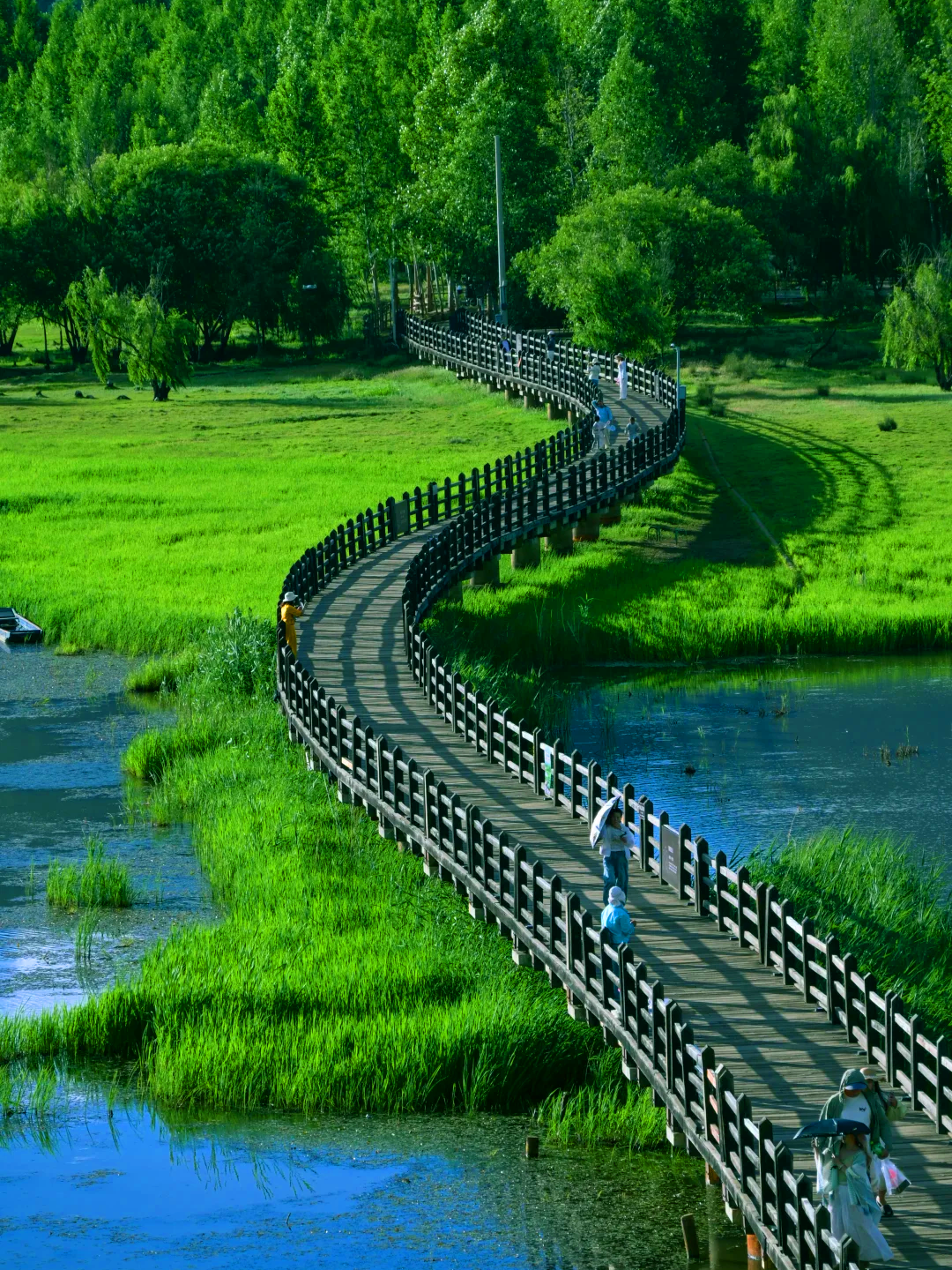 8-Day Yunnan in the Clouds Small Group Tour 