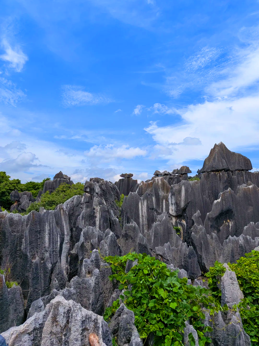 8-Day Encounter Yunnan Small Group Tour 