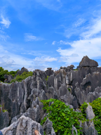 8-Day Encounter Yunnan Small Group Tour 