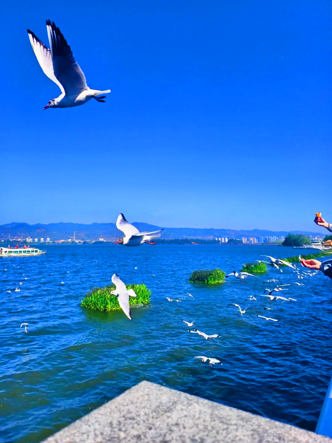 8-Day Encounter Yunnan Small Group Tour 