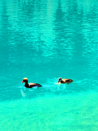 8-Day Encounter Yunnan Small Group Tour 