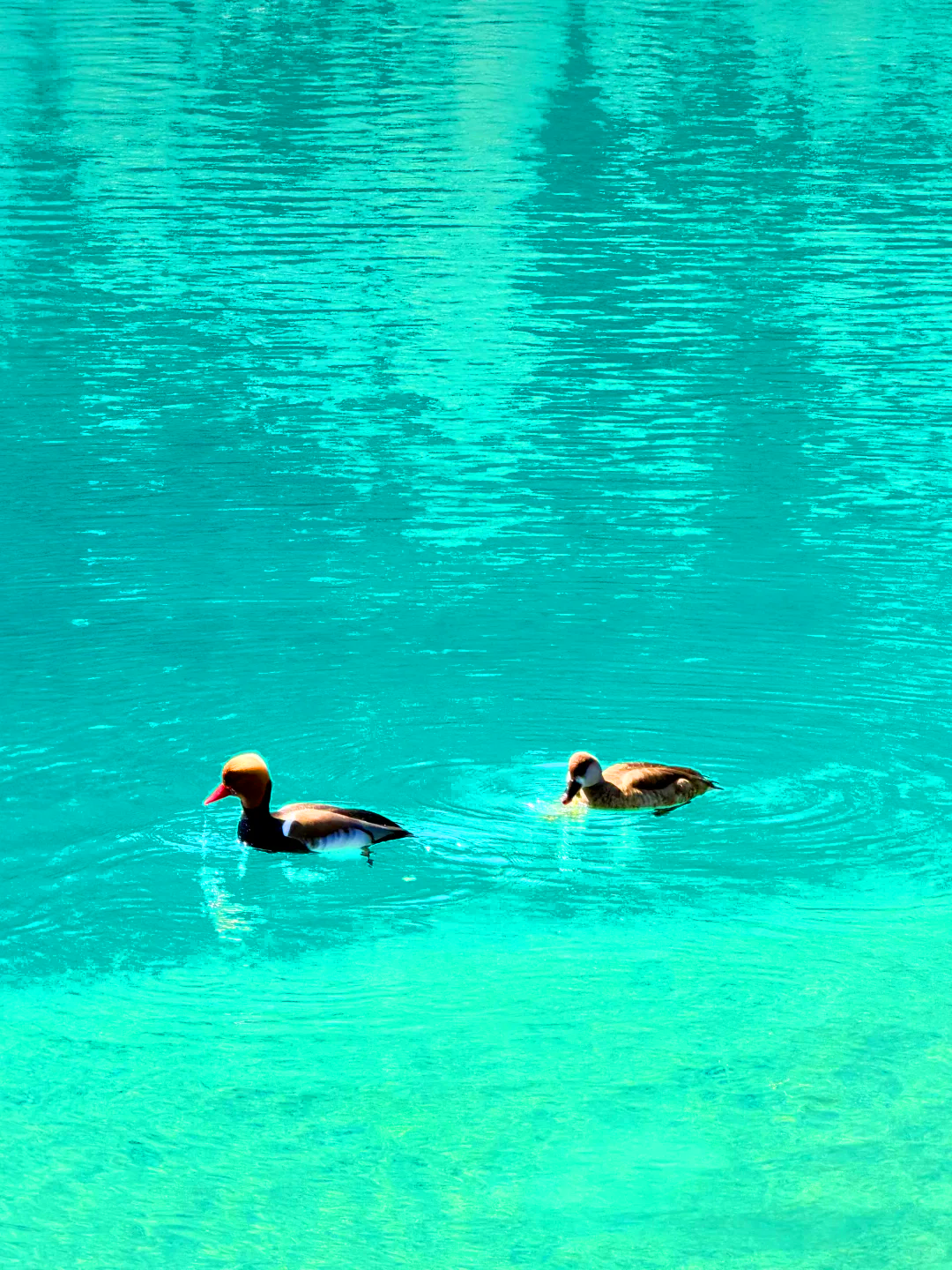8-Day Encounter Yunnan Small Group Tour 