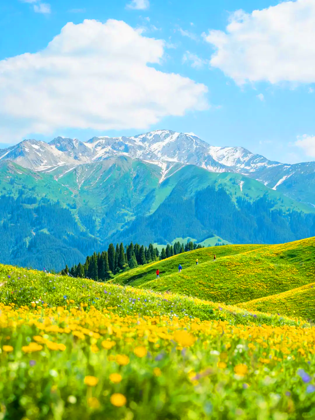 8-Day Encounter Yunnan Small Group Tour 