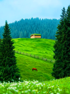 8-Day Encounter Yunnan Small Group Tour 