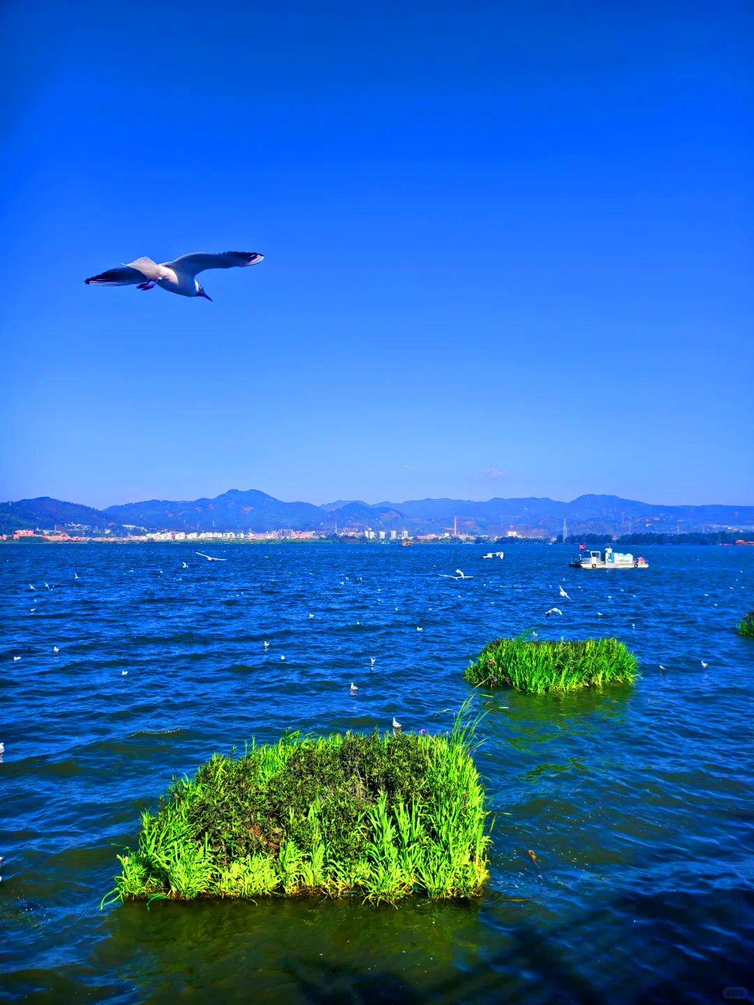10-Day Slow Living in Yunnan Small Group Tour