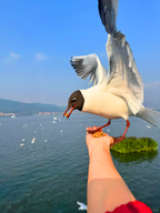 10-Day A Date with Yunnan Small Group Tour