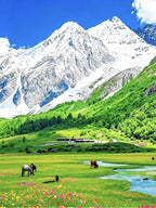 6-Day, 5-Night Western Sichuan Exploration Small Group Tour